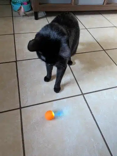 Robeco Pelota de Rebote Interactiva para Niños - Juguete Educativo y Divertido photo review